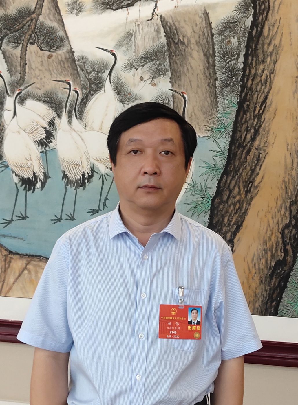 2.全国人大代表、中国科学院院士、乐投网页版登录入口-乐投（中国）副总经理杨伟